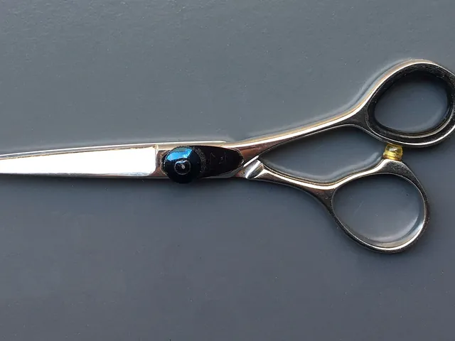 A pair of hairdressing scissors